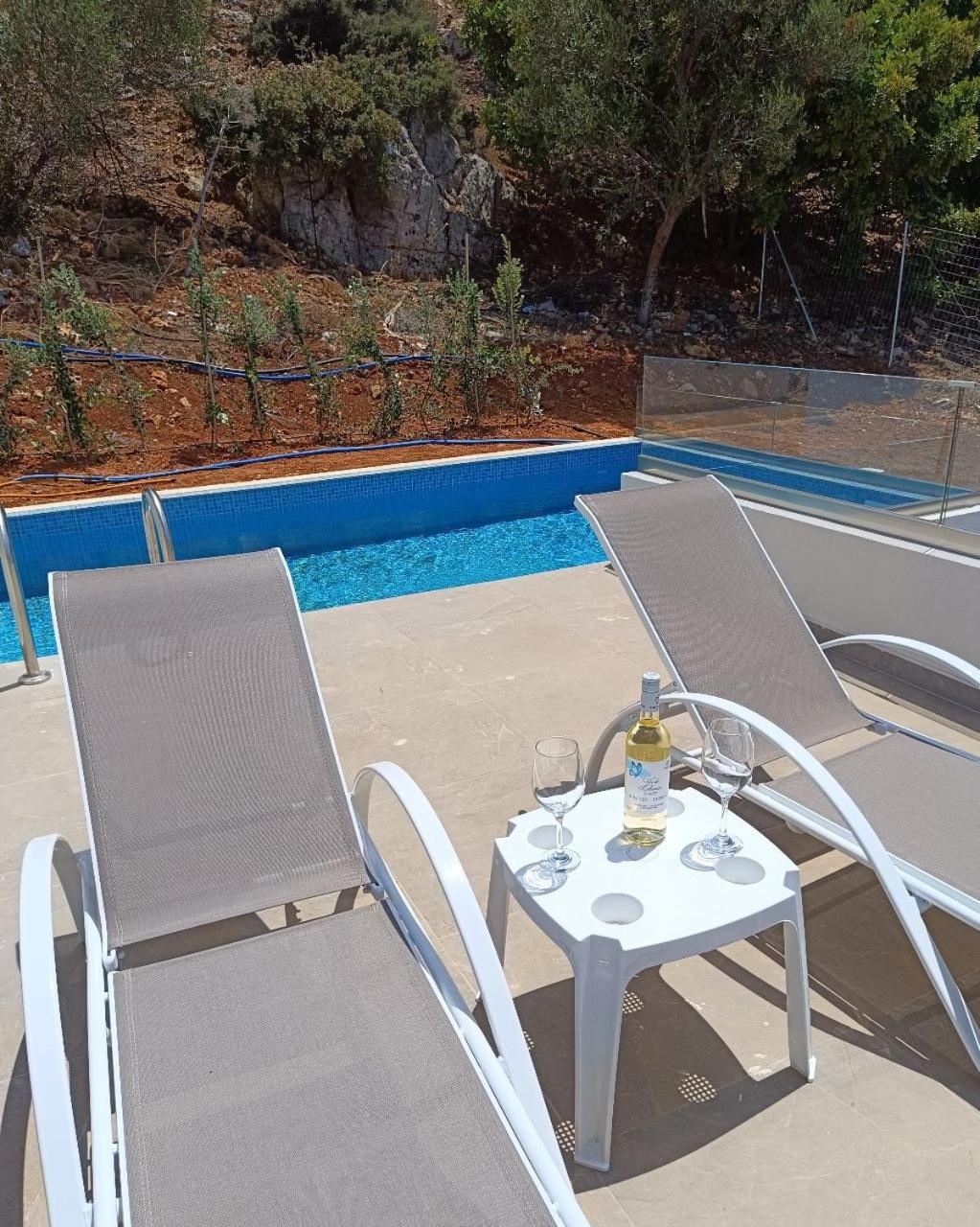 Isabel Artemis Crete - Luxury Sea Views Villas Nopigia Екстер'єр фото